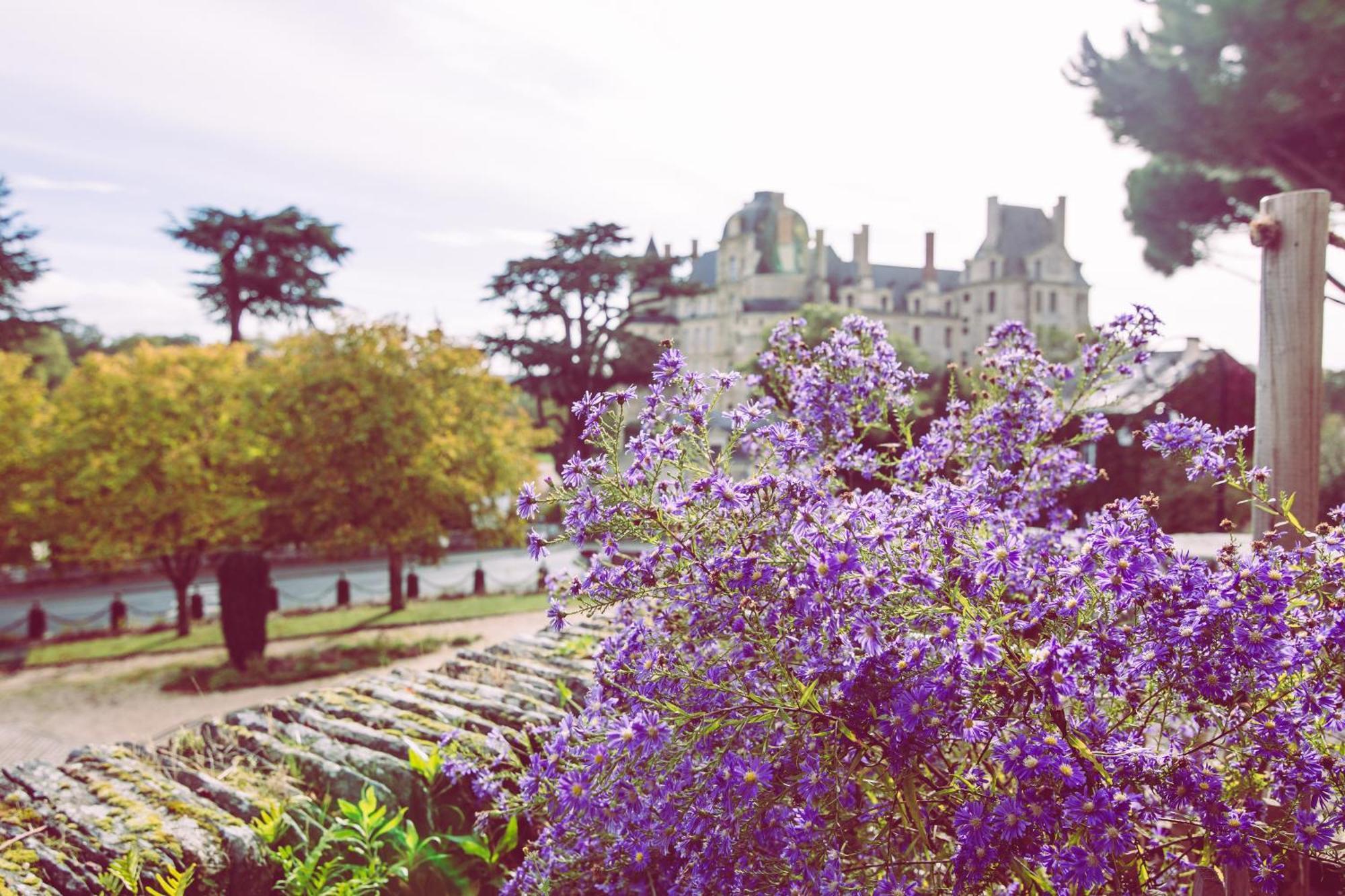 Brissac-QuinceLe Regisseurアパートメント エクステリア 写真