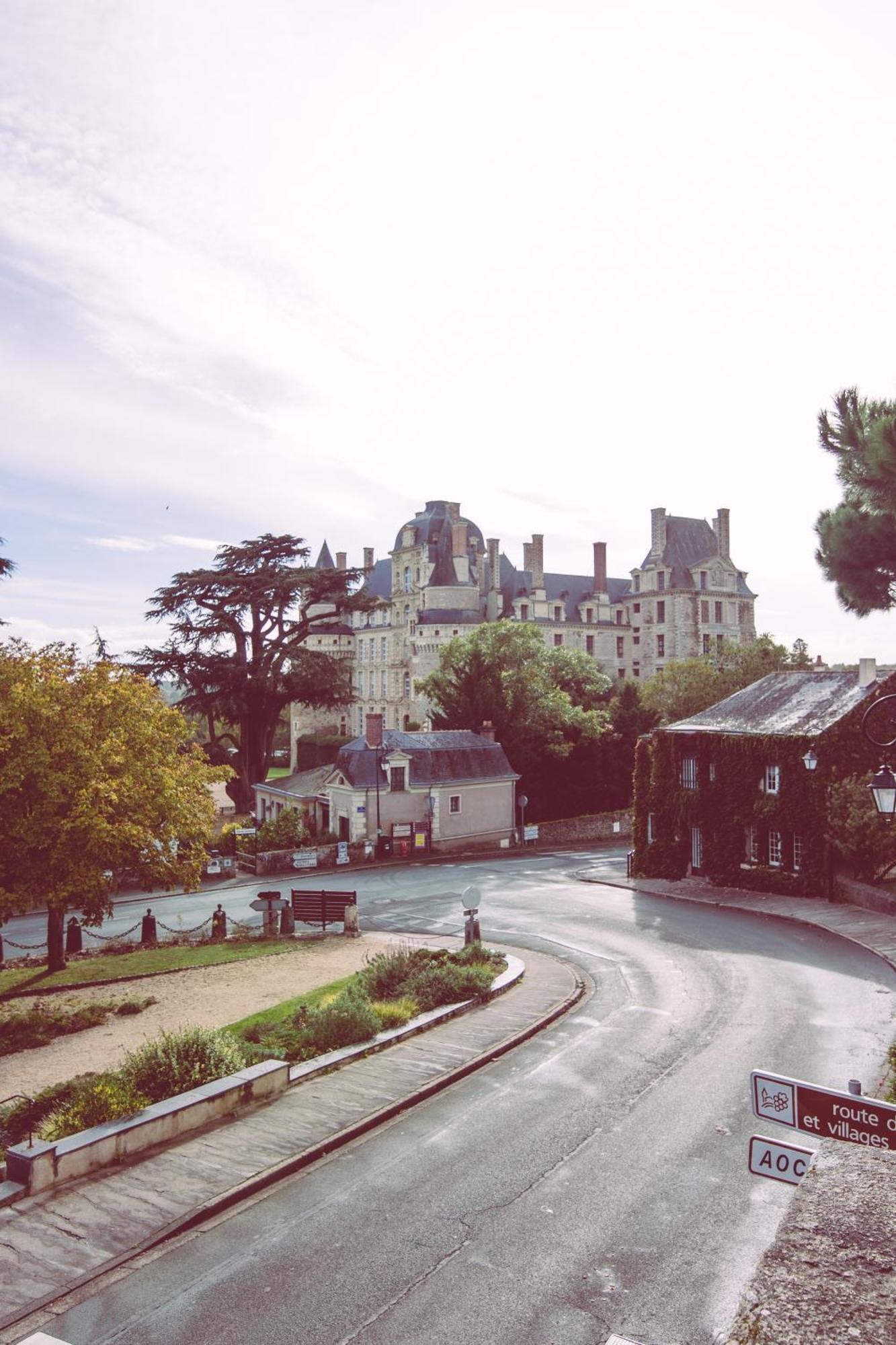 Brissac-QuinceLe Regisseurアパートメント エクステリア 写真